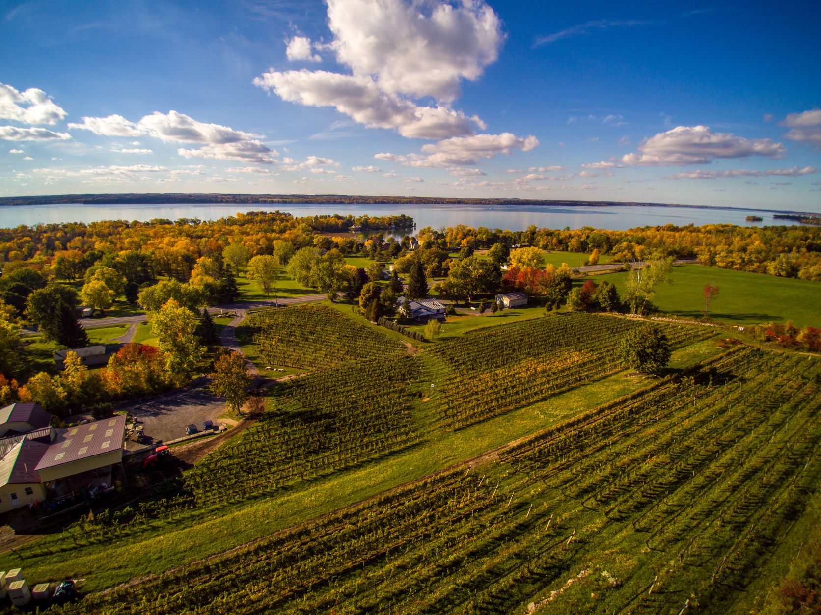 Heart Hands Winery Vineyard